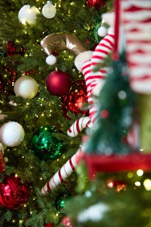 5-метровая гора подарков, эльфы и почта Санта Клауса: чем решил удивить торговый центр под Новый год 5