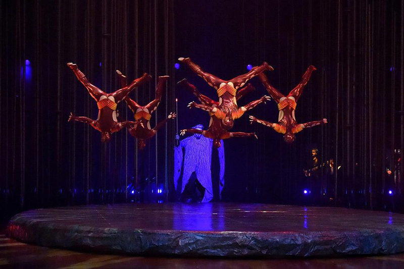 Cirque du Soleil varekai