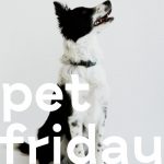 Pet Friday х G.Bar: пятница с заботой